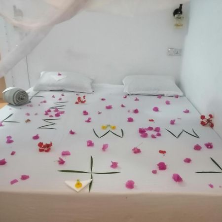 Wow Beach House Jambiani  Εξωτερικό φωτογραφία