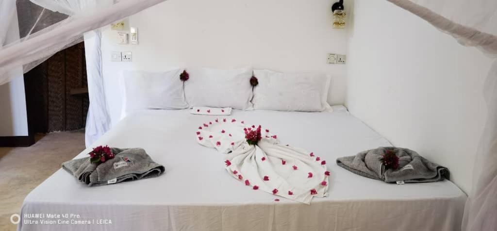 Wow Beach House Jambiani  Εξωτερικό φωτογραφία